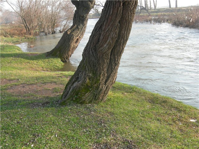 arčilend